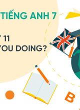Unit 11 What Were You Doing - Tiếng Anh 7  -  Hoc10